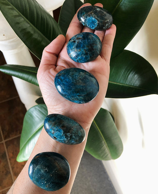 Apatite Palm Stone