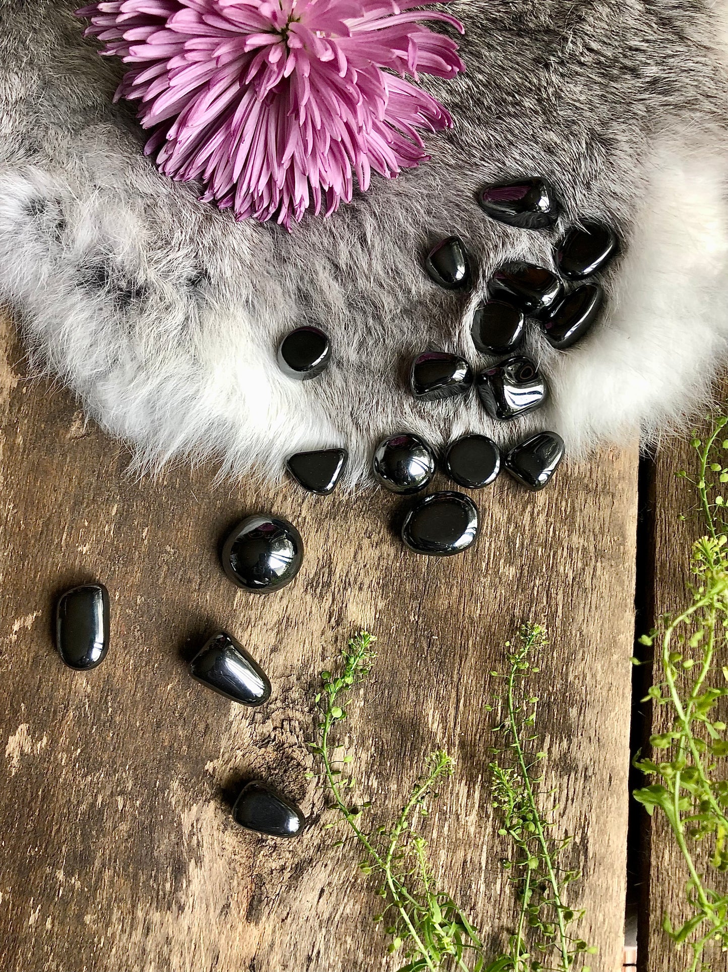 Hematite tumbled stones lay sprawled out onto grey and white fur, aged wood and framed by pink and green foliage