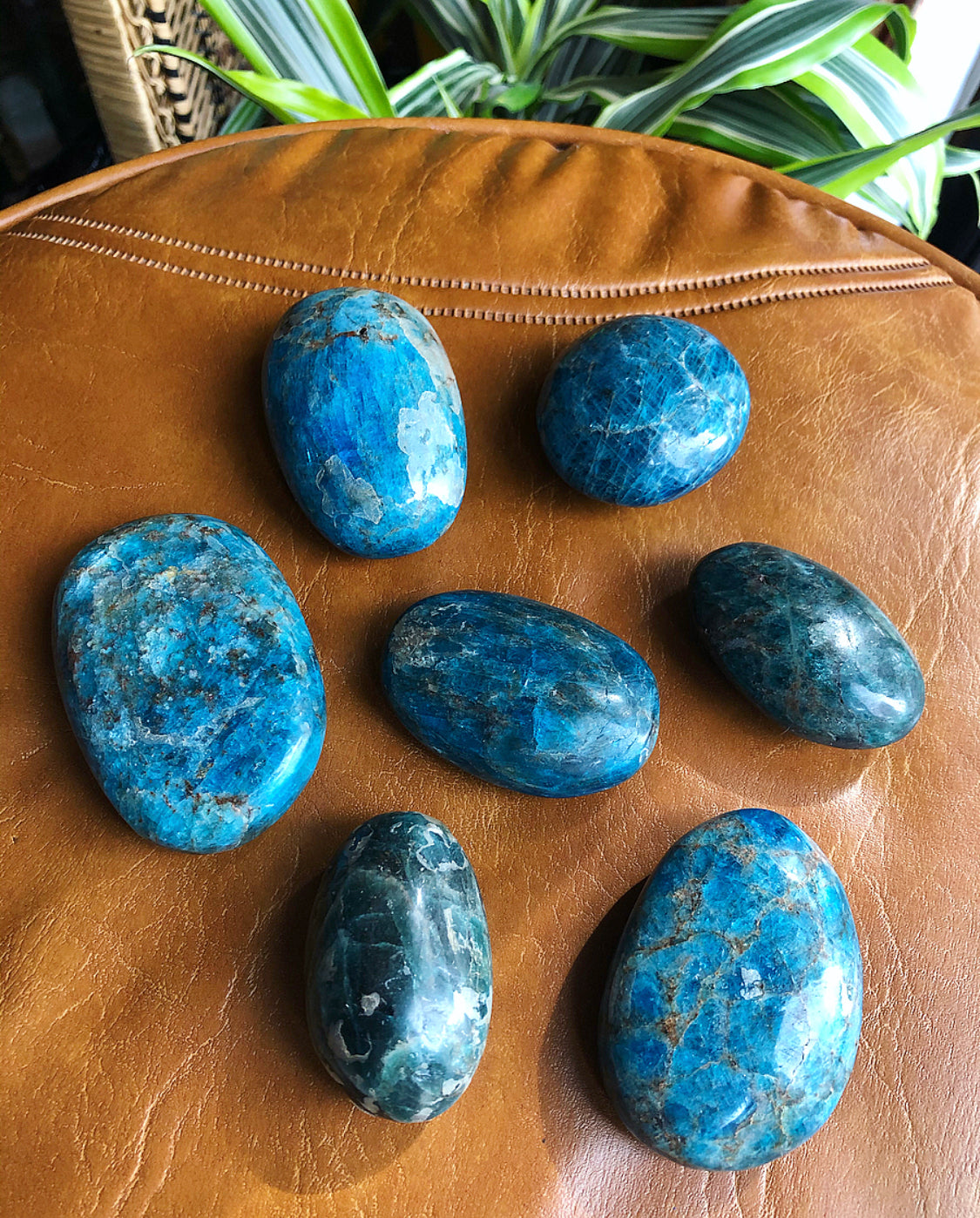 Apatite Palm Stone