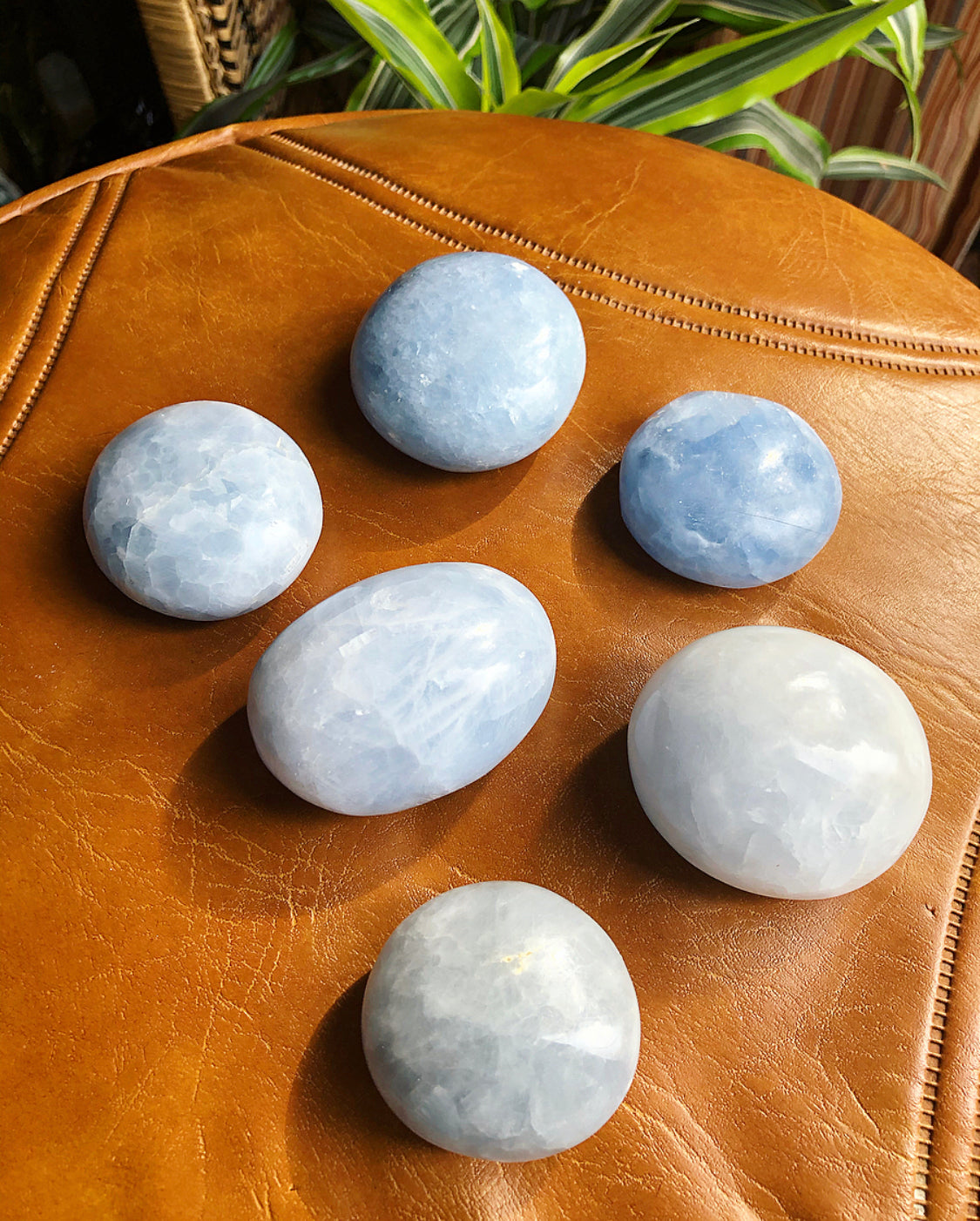 Calcite Palm Stone