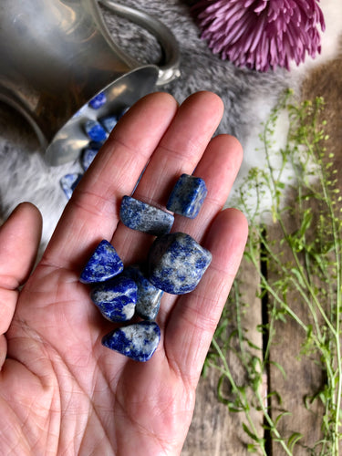 Lapis Lazuli tumbled stones lay in hand above boho background of silver, fur, antique wood and foliage