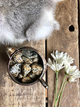 Load image into Gallery viewer, Dalmatian Jasper tumbled crystals fill antique silver bowl framed with fur and white flowers
