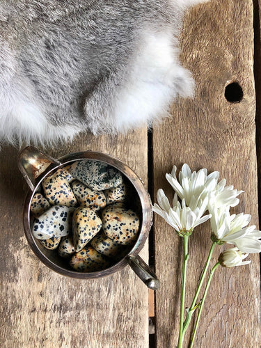 Dalmatian Jasper tumbled crystals fill antique silver bowl framed with fur and white flowers